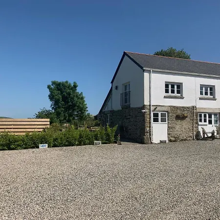 Pheasants Wander At Rosewyn Villa Newquay  Exterior photo